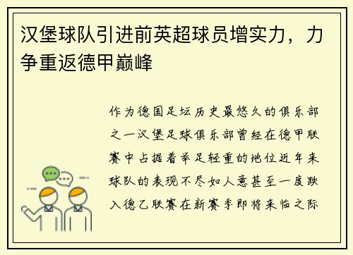 汉堡球队引进前英超球员增实力，力争重返德甲巅峰